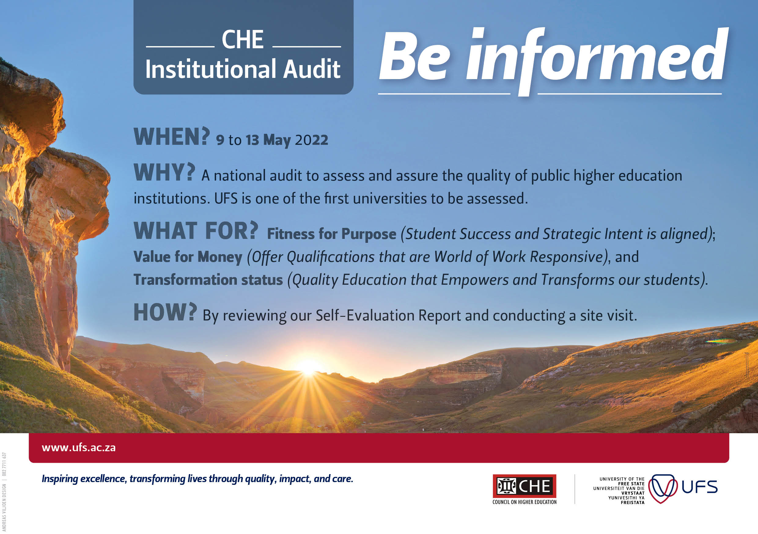 More about the institutional audit