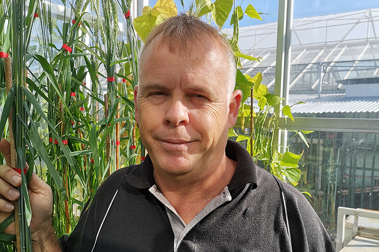 Prof Willem Boshoff