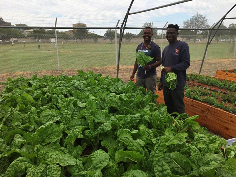 Students play leading role to ensure food security