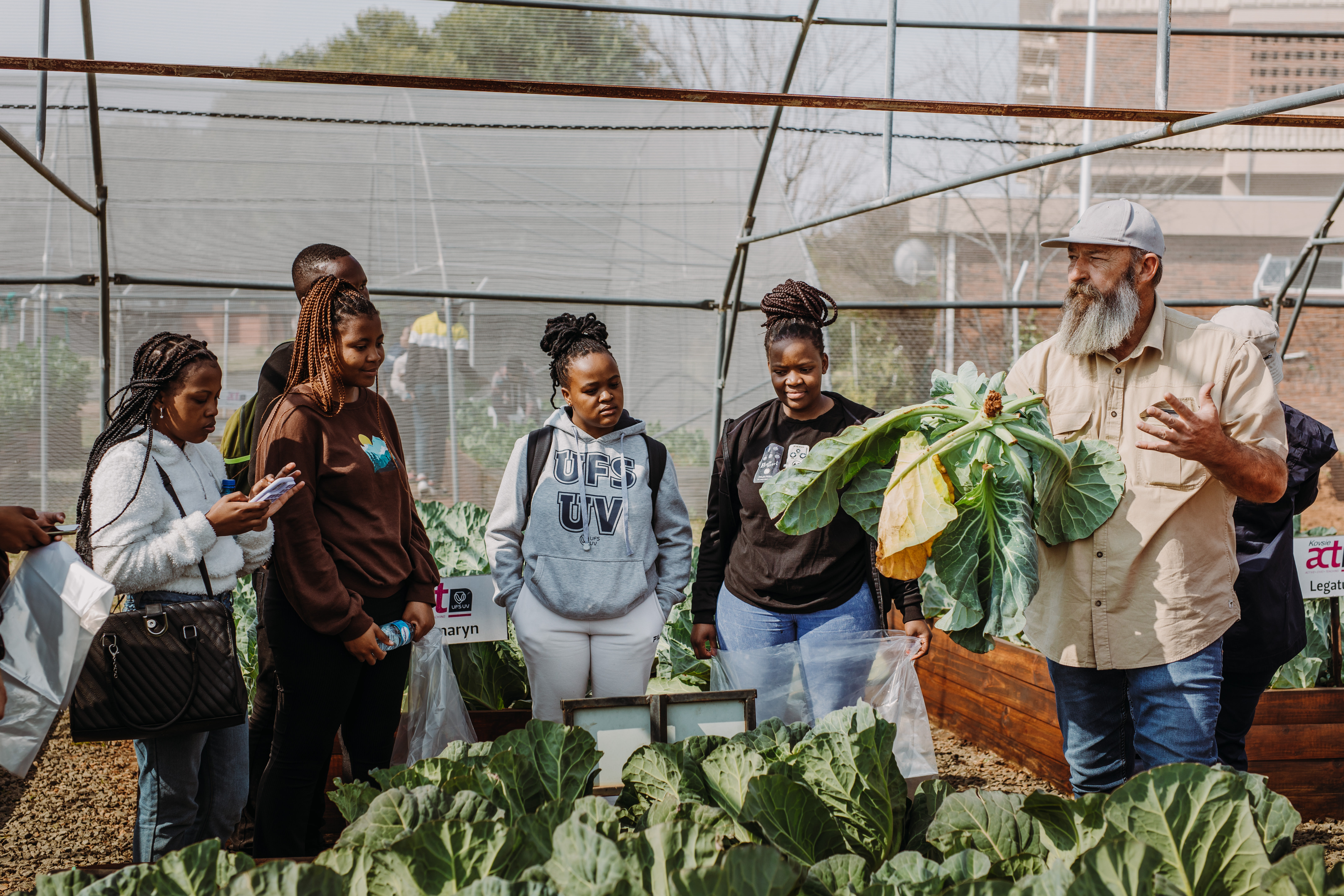 The GROW with Thabo event also included the harvesting of vegetables, more specifically cabbage and spinach