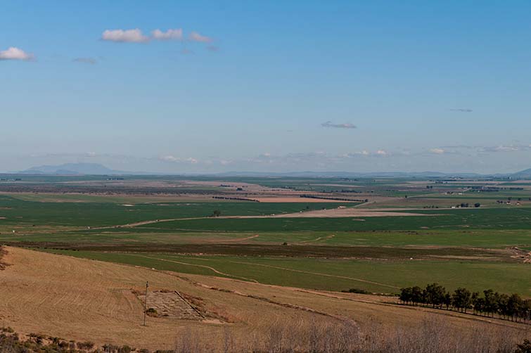 Farm