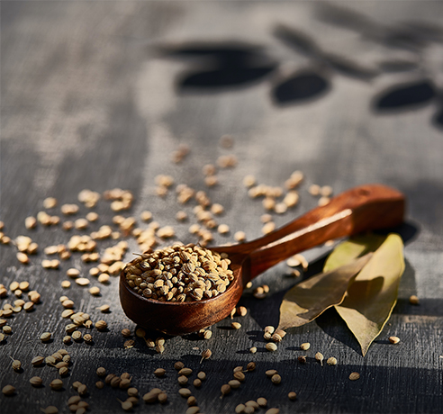 Traditional Medicine