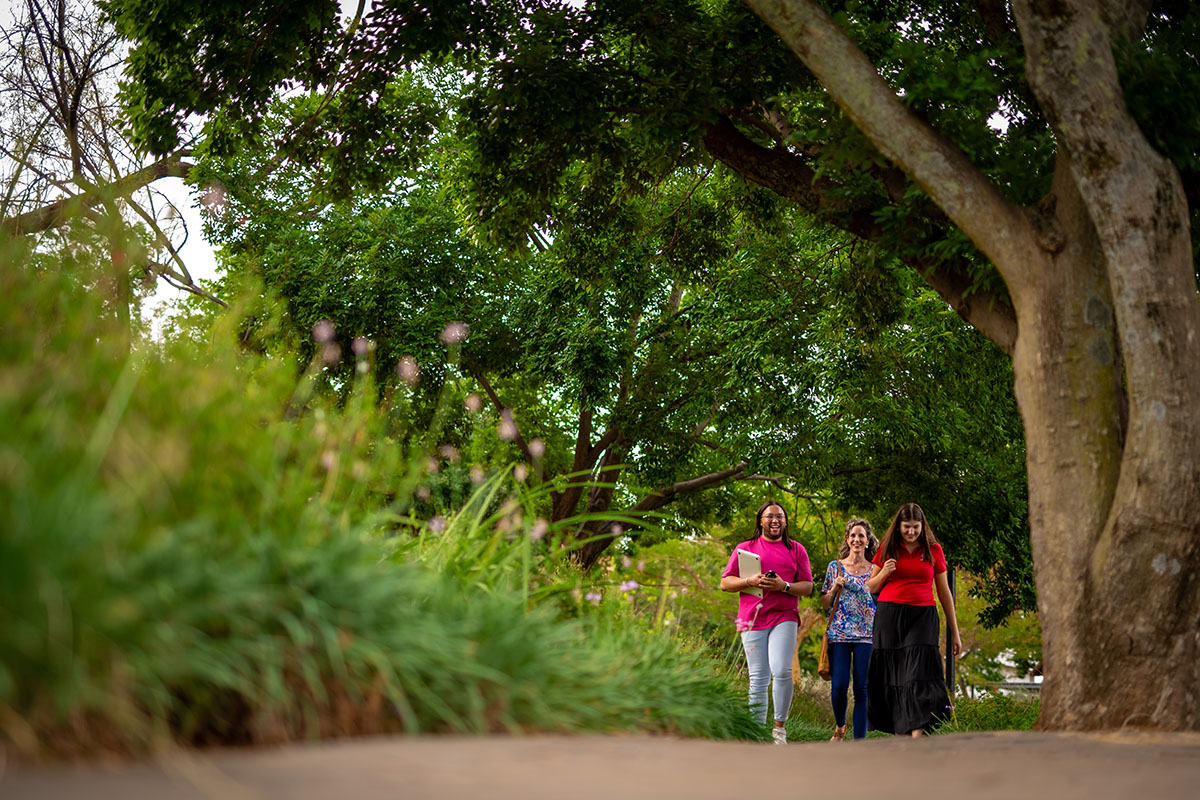 Students taking a stroll