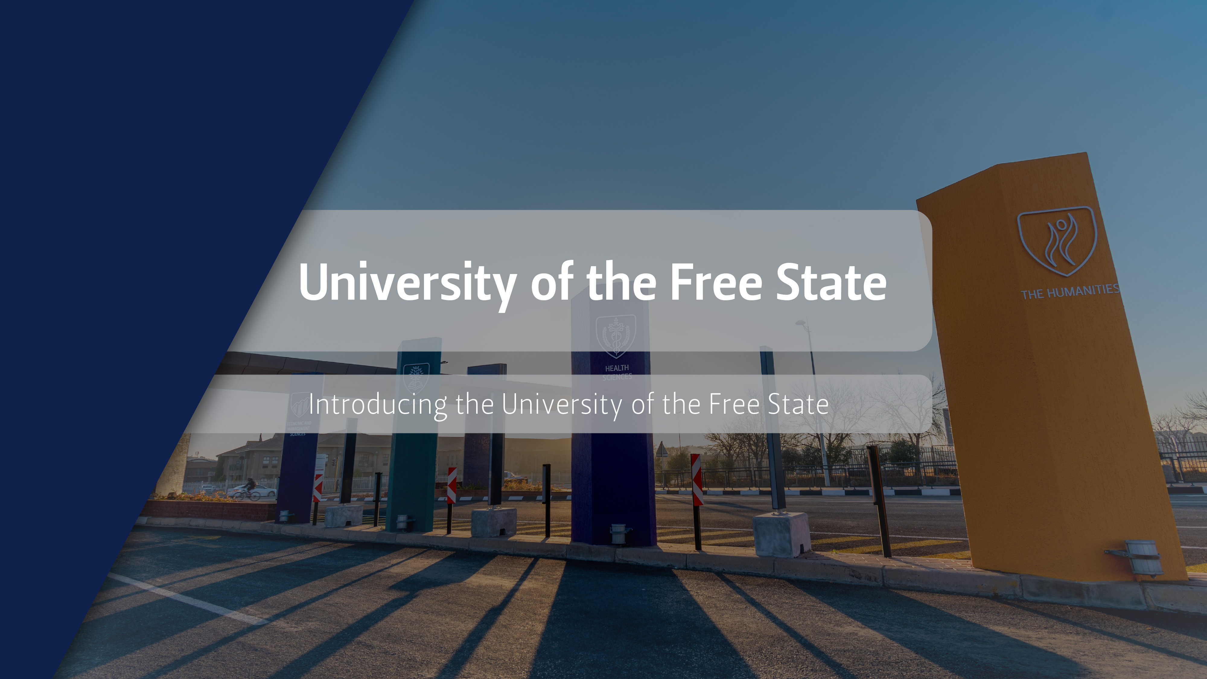 University of the free state