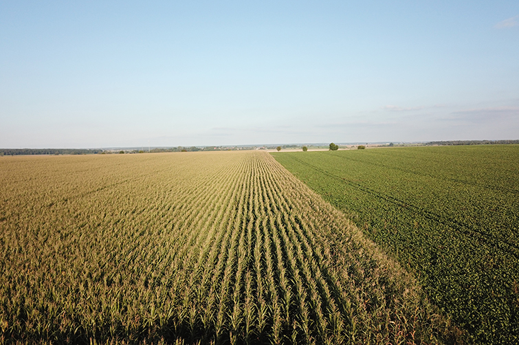 Agriculture Supply Chain - Ukraine