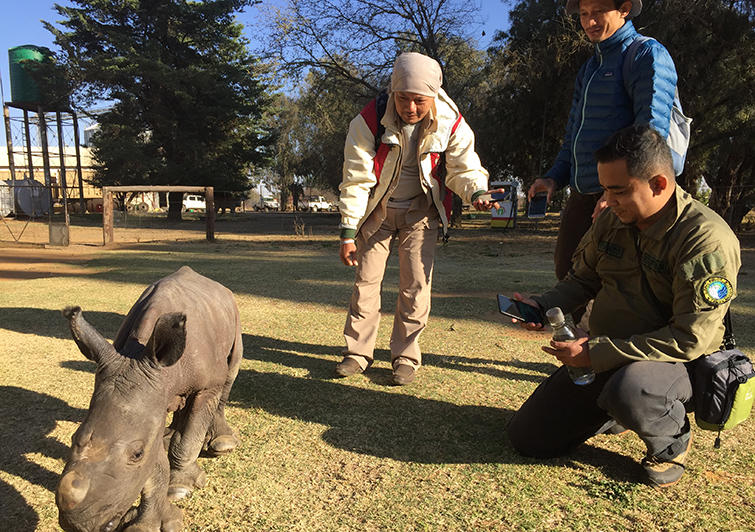 Rhino Conservation