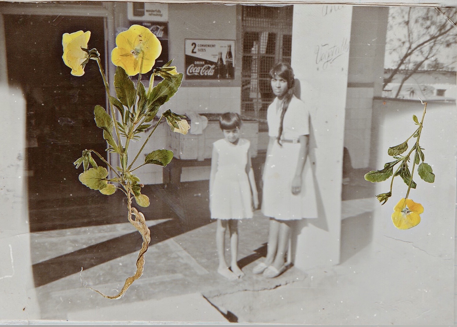 ALKA DASS, Buttery spring flowers wither with time, 2020, Digital print on Hahnemühle paper, 14 x 14 cm