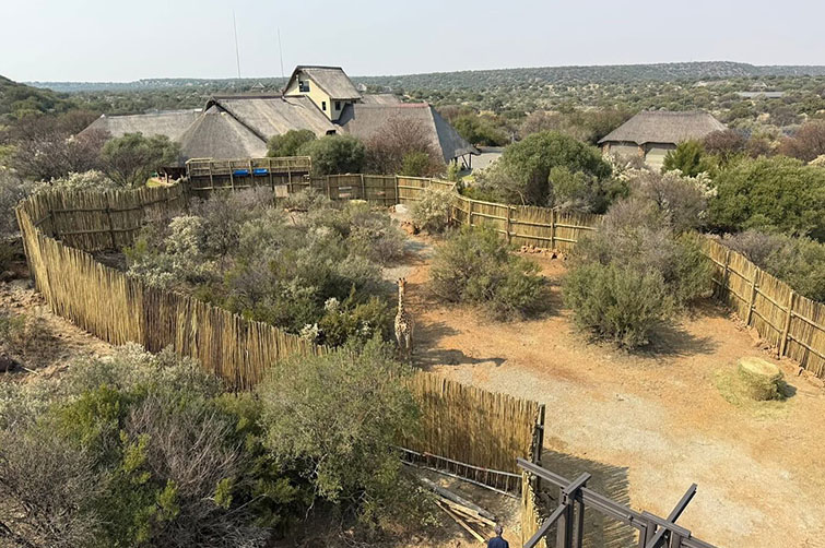 Giraffe Research Centre