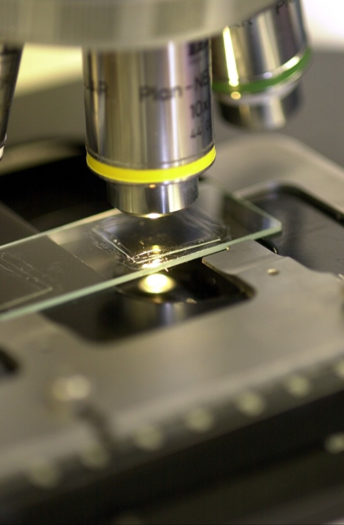 Research - Closeup of a Microscope