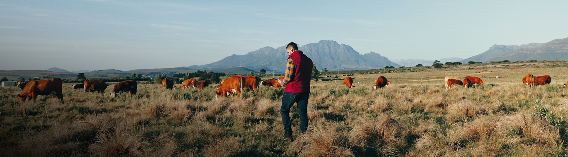 Foot-and-Mouth Disease