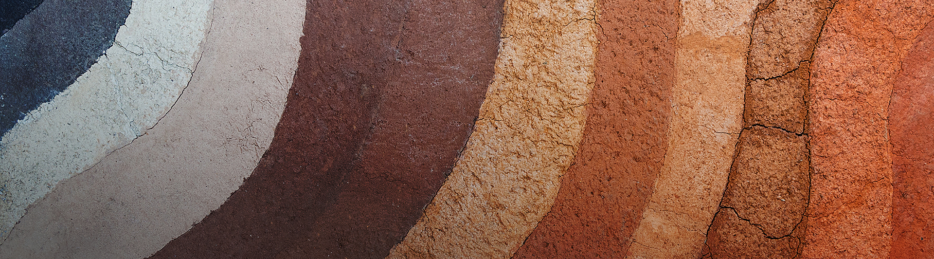 GeoCongress