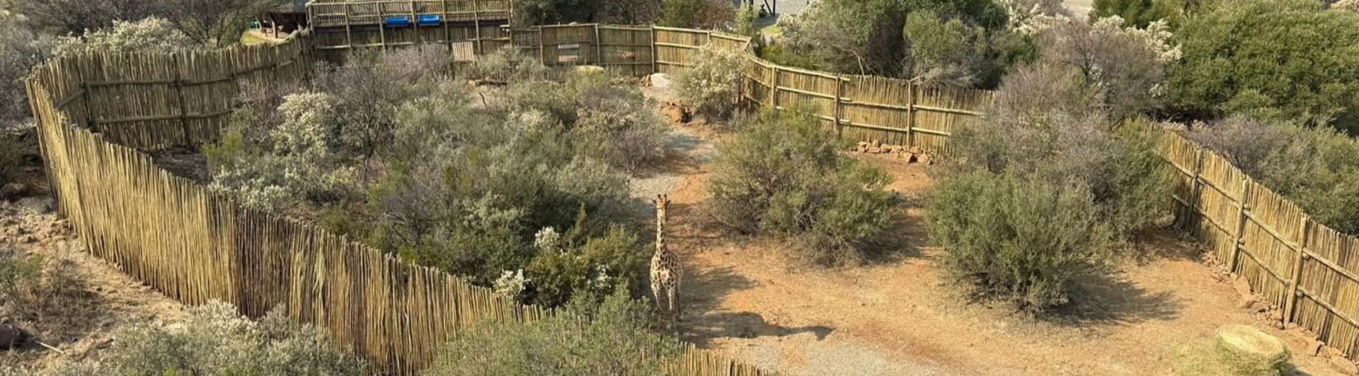 Giraffe Research Centre