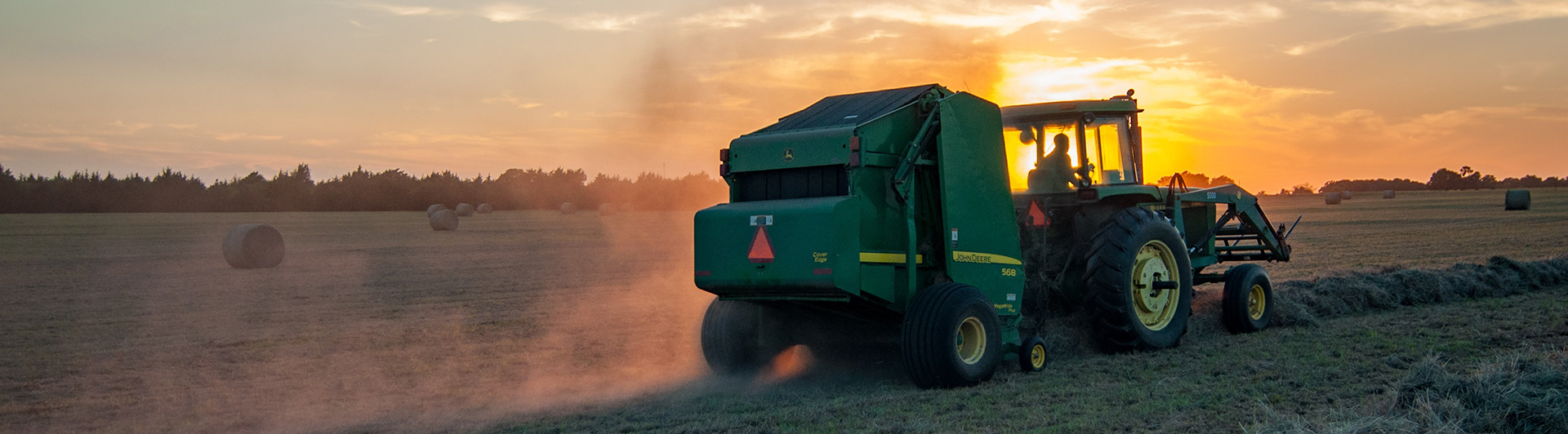 Sustainable Agriculture 