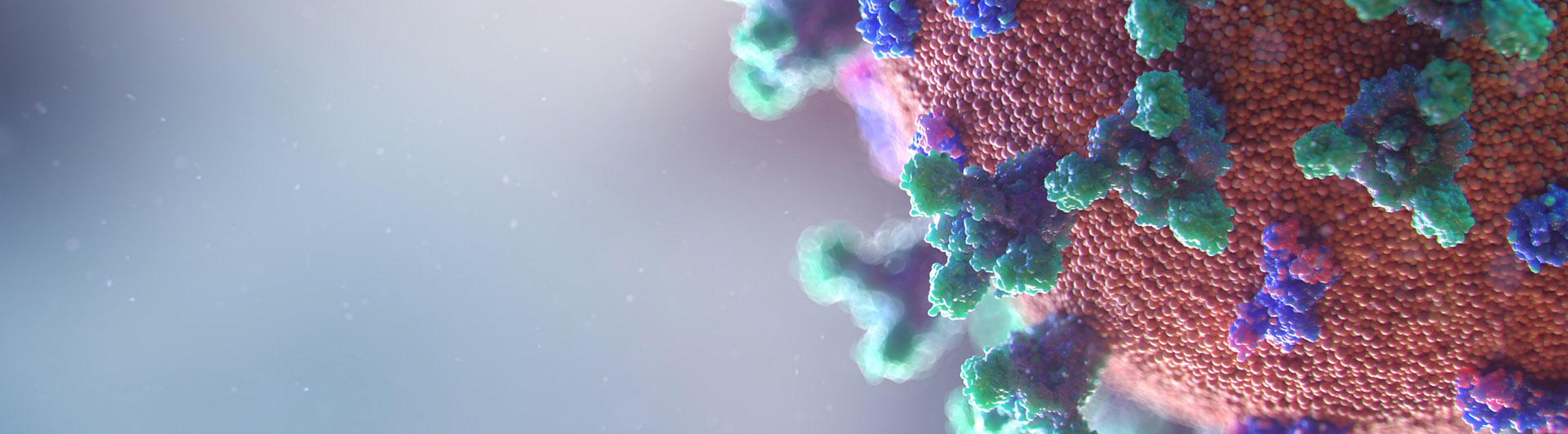 virus unsplash