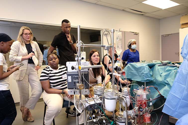 Cardiology training 2024