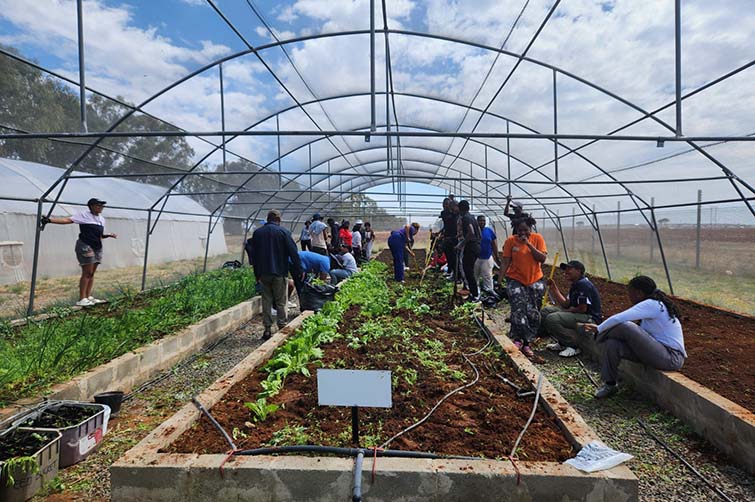 Kovsie Act Volunteer Programme 2024