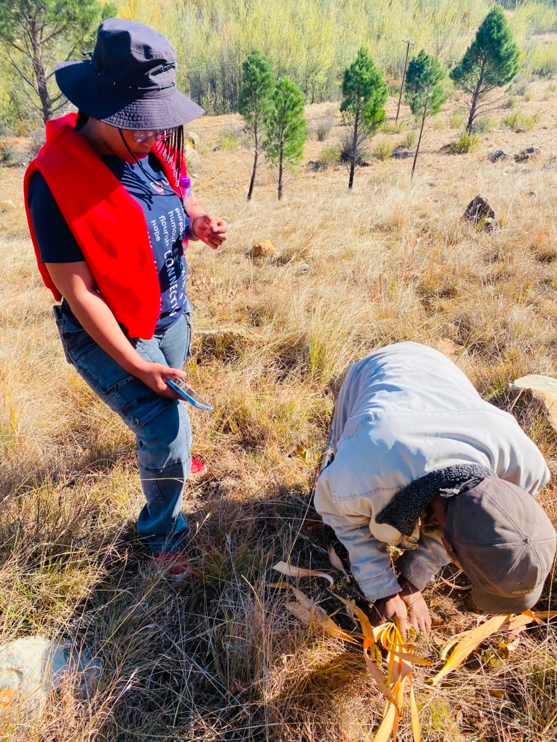 Field documentation activities with an Indigenous Knowledge holder in Clarens