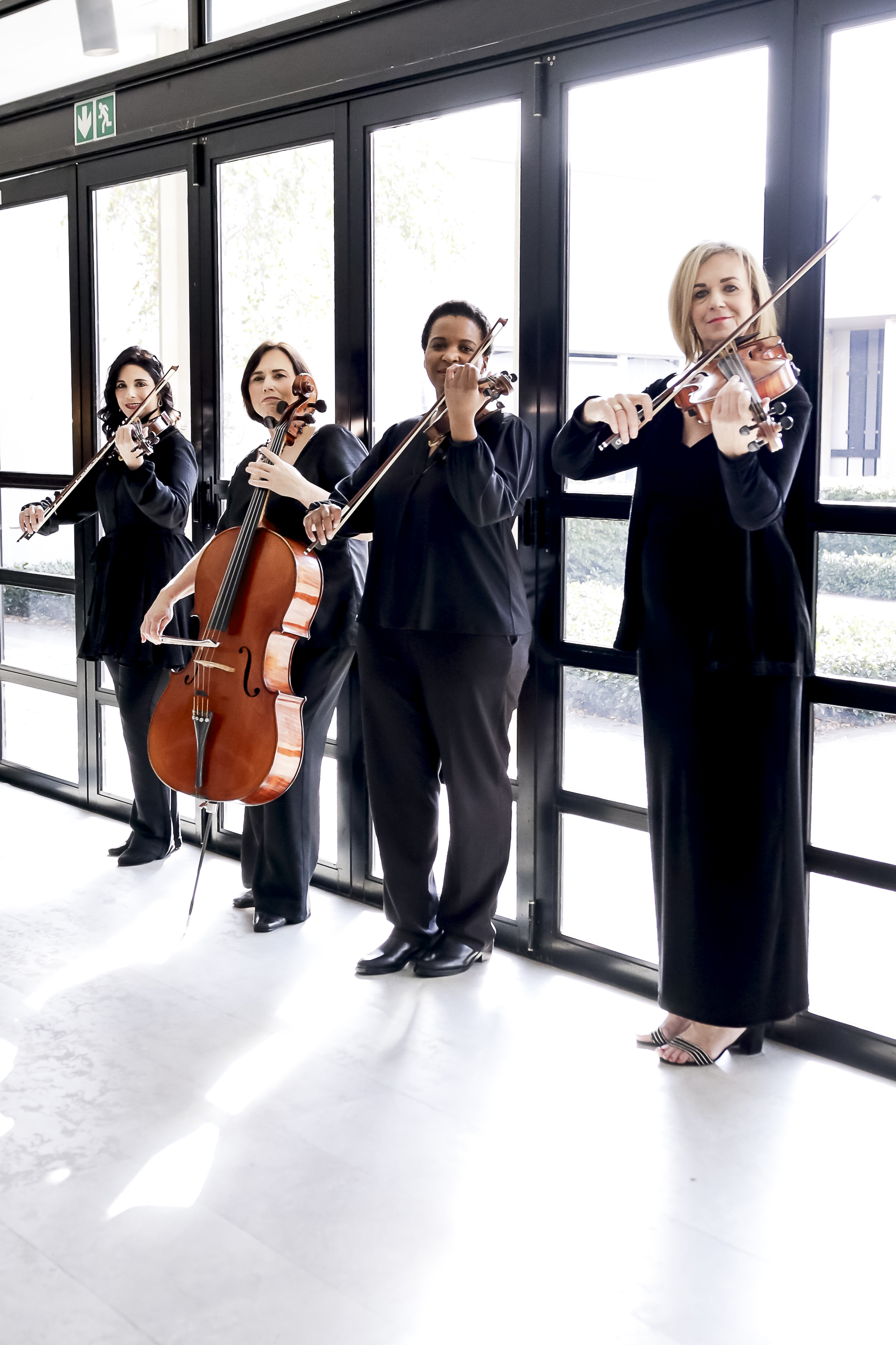 The four members of the Odeion String Quartet