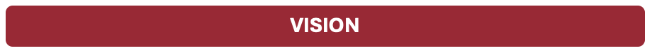 VISION VISION