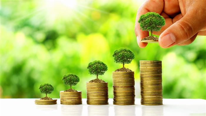 Agricultural Economics Trees on coins with blurry green background