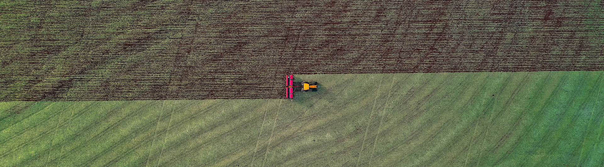 Agricultural Economics