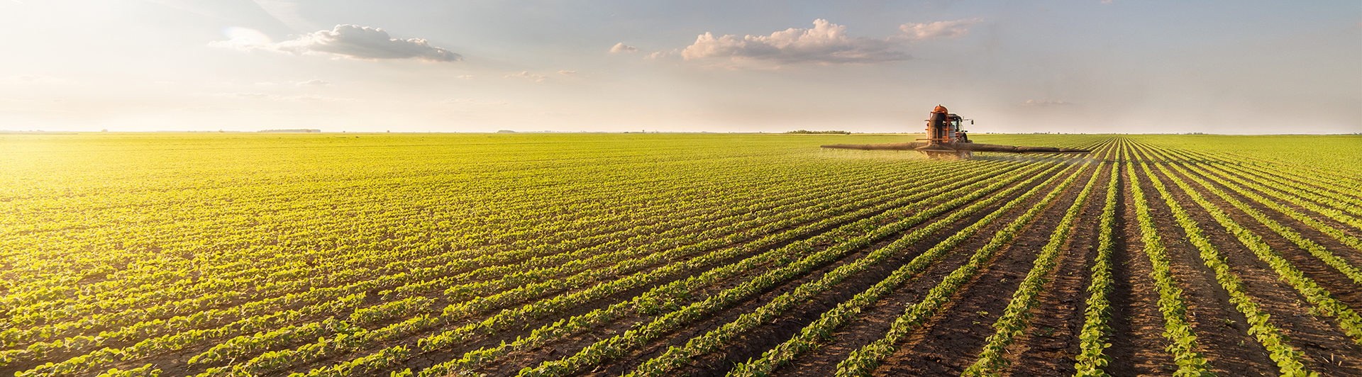 Faculty of Natural and Agricultural Sciences Home