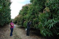 ecophysiology ecophysiology