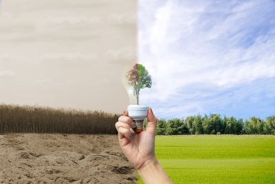 Environmental Management Environmental Management