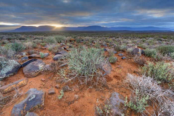 Environmental Management Karoo Resized Environmental Management Karoo Resized