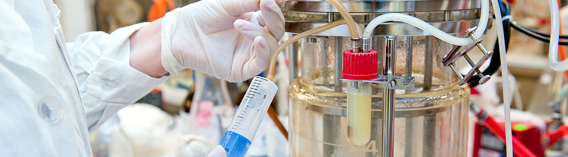 Faculty of Natural and Agricultural Sciences Home