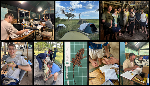 Herpetology group Herpetology group