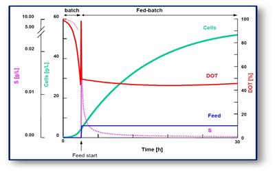 Fed-batch cultivation 2