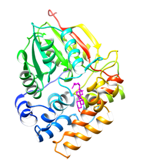 24C-sterol methyltransferase