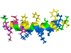 Protein structure