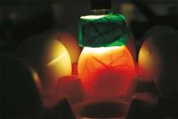 Egg light