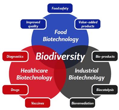 Biotechnology
