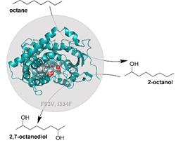 Cytochrome P450 Monooxygenases