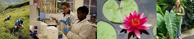 Botany Image Description: Plant Sciences Keywords: Botany, Image