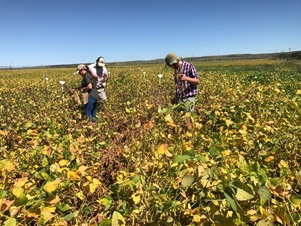 farmers farmers