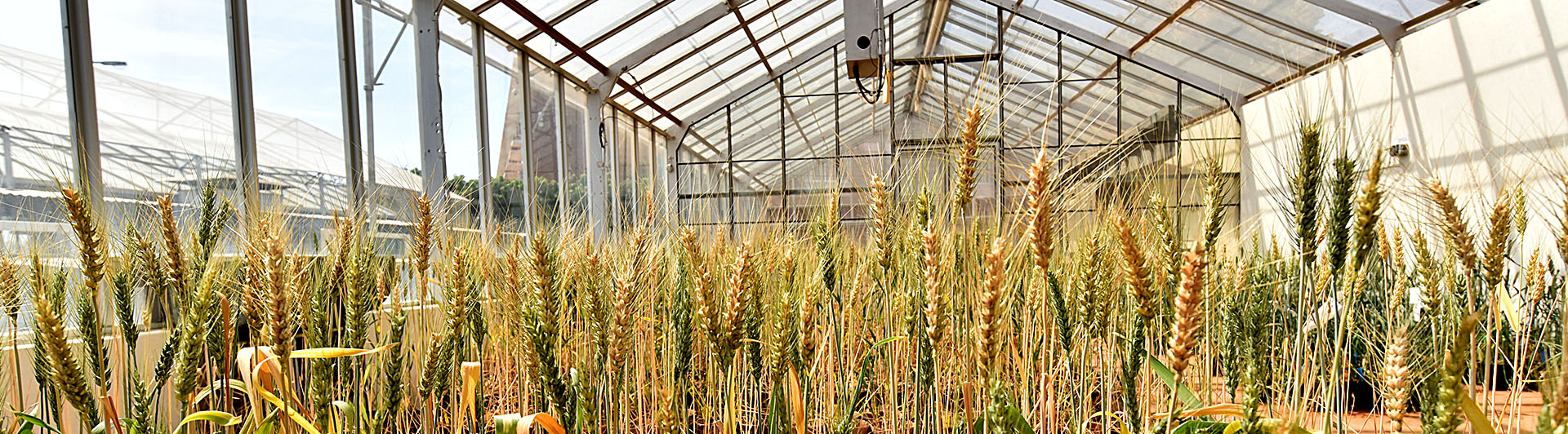 use of computer in agriculture pdf