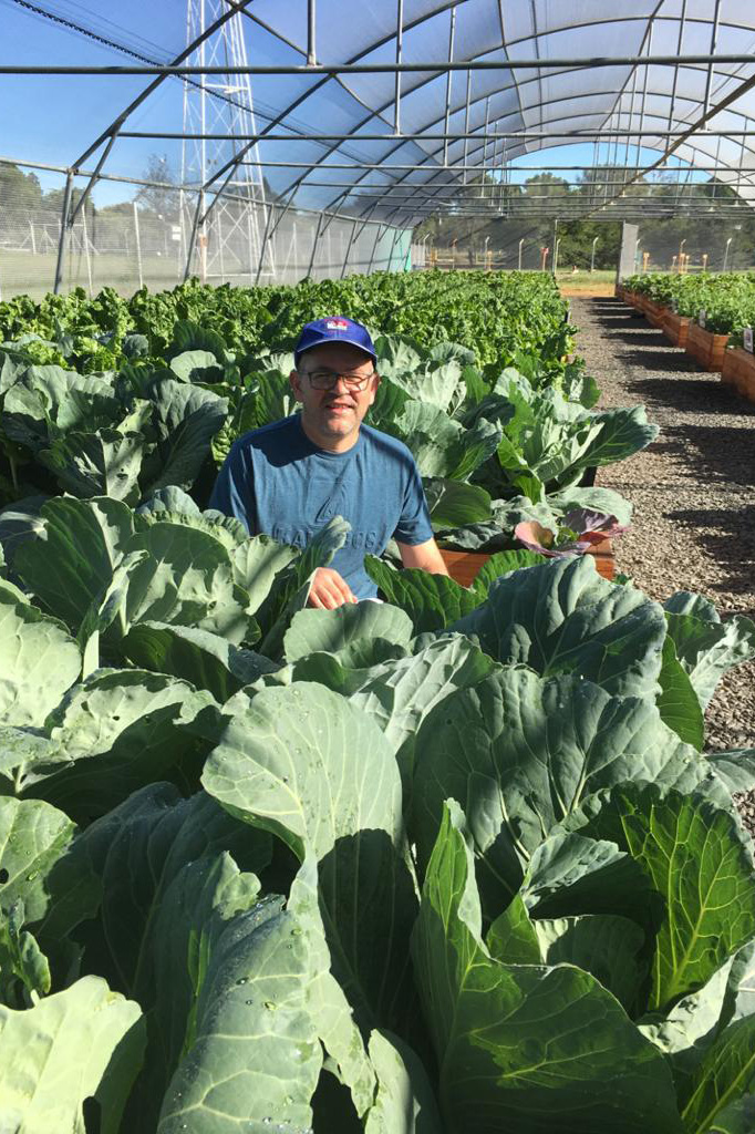 Vegetable Tunnels students harvesting