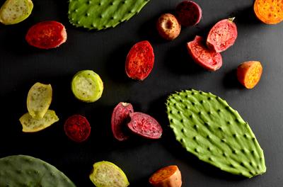 Cactus pear Cactus pear