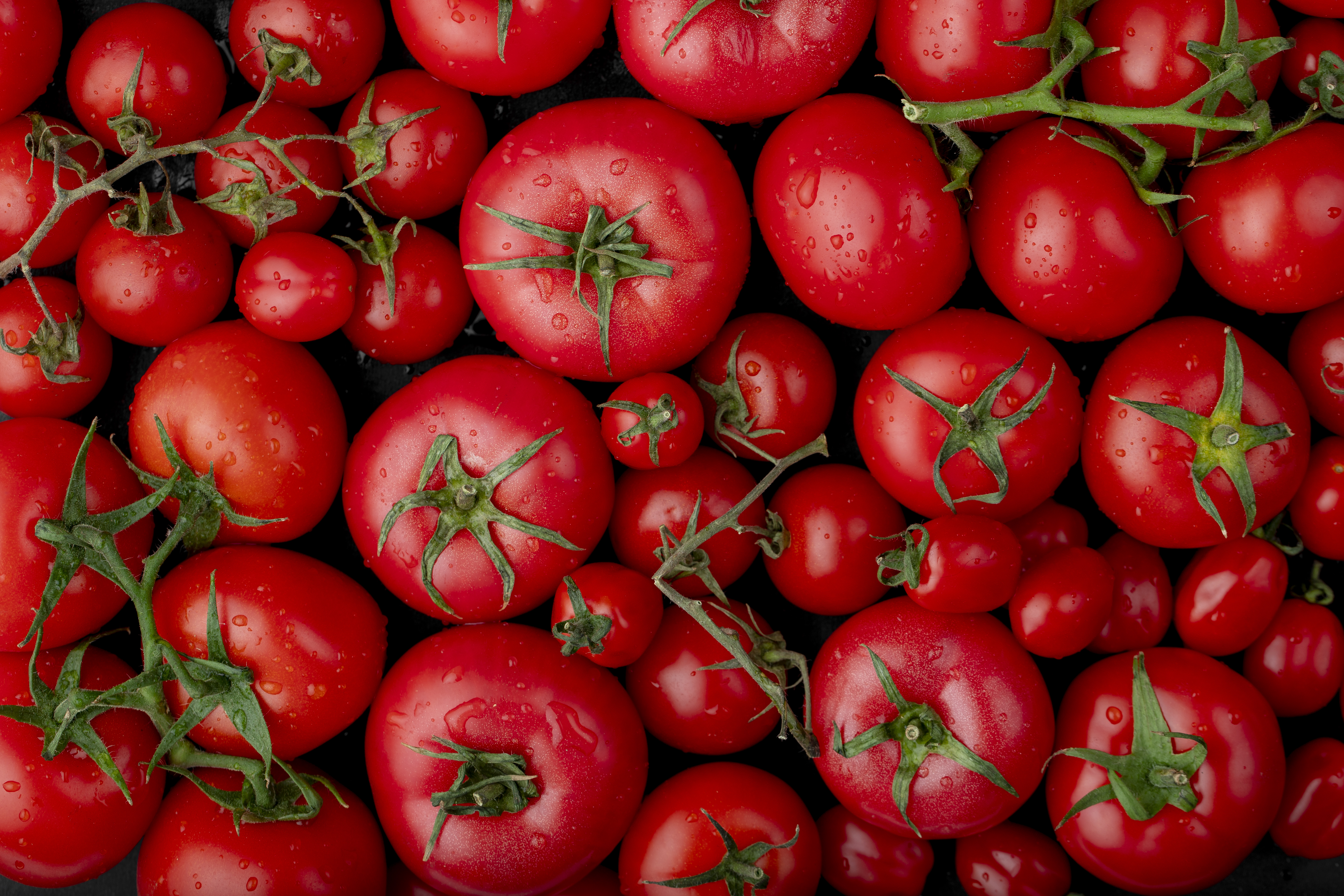 top-view-ripe-fresh-tomatoes-with-water-drops-black-background