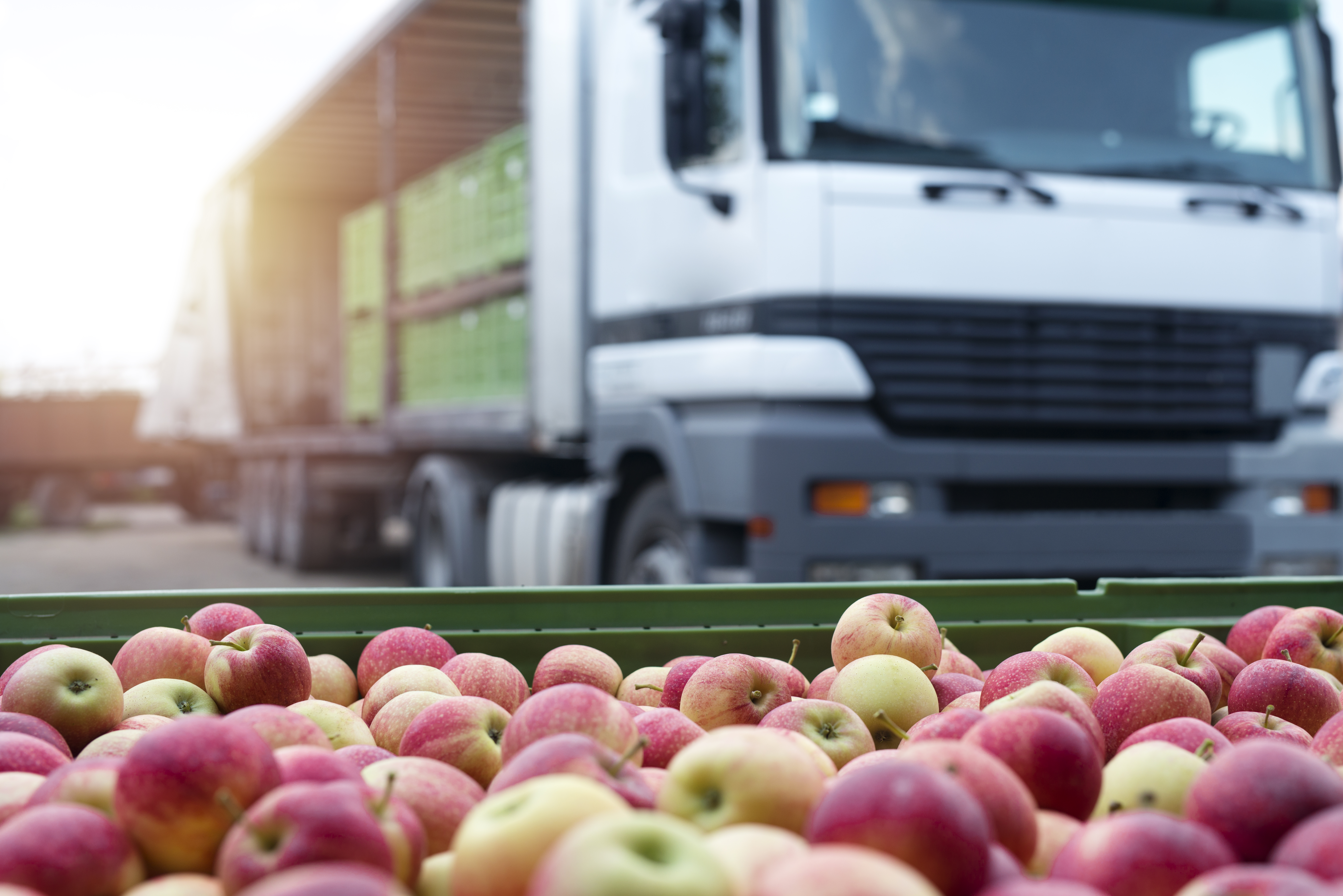Apples in crates on distribution truck