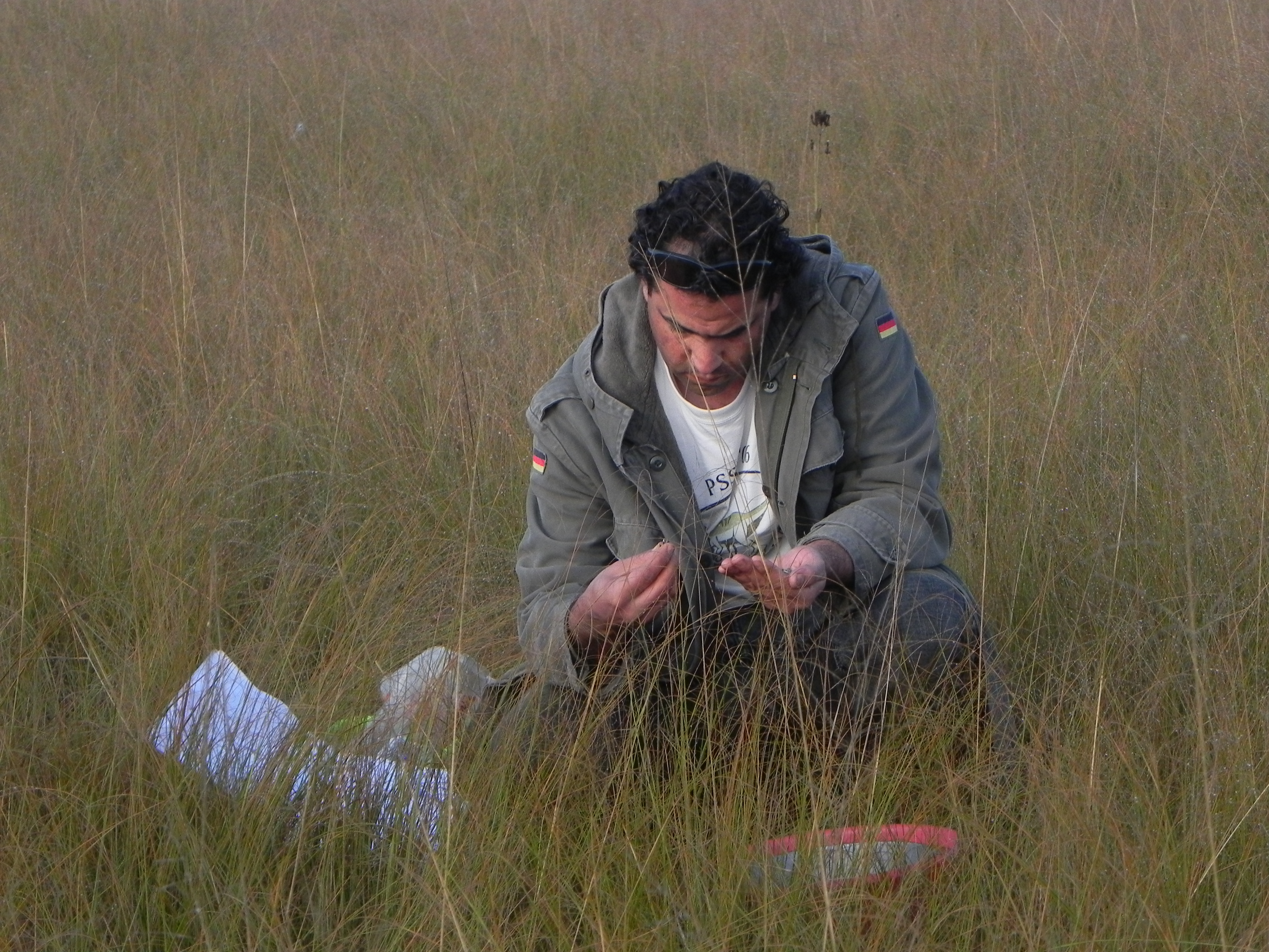 Prof Codron collecting samples