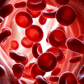 Red blood cells