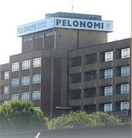 Pelonomi Hospital