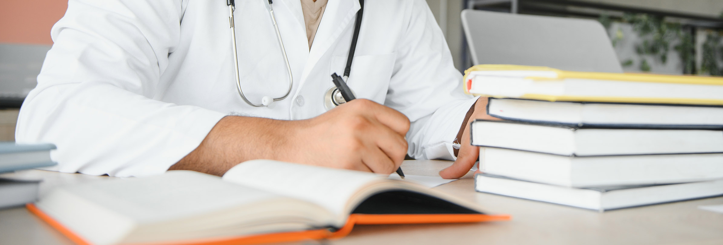 Undergraduate Programmes