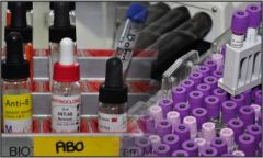 Main photo 982 Description: Haematology and Cell Biology Keywords: Main photo
