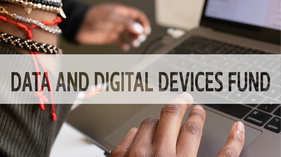 Data and Digital Devices Fund